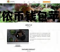 阿侬币钱包苹果，imtoken钱包苹果版下载