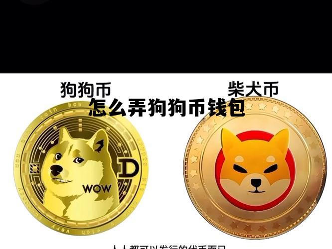 怎么弄狗狗币钱包，怎么弄狗狗币钱包视频